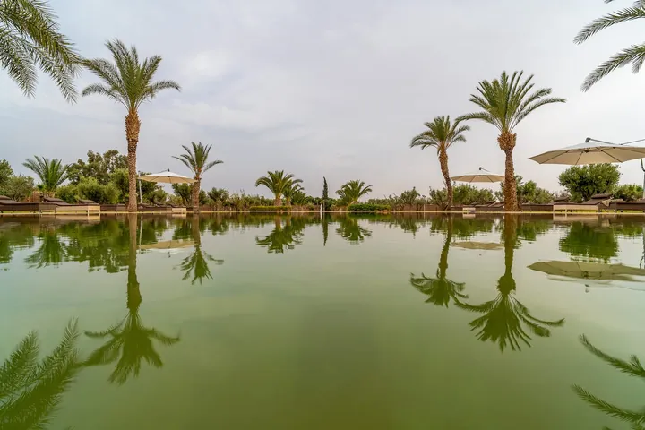 Konnect Marrakech — photo 2