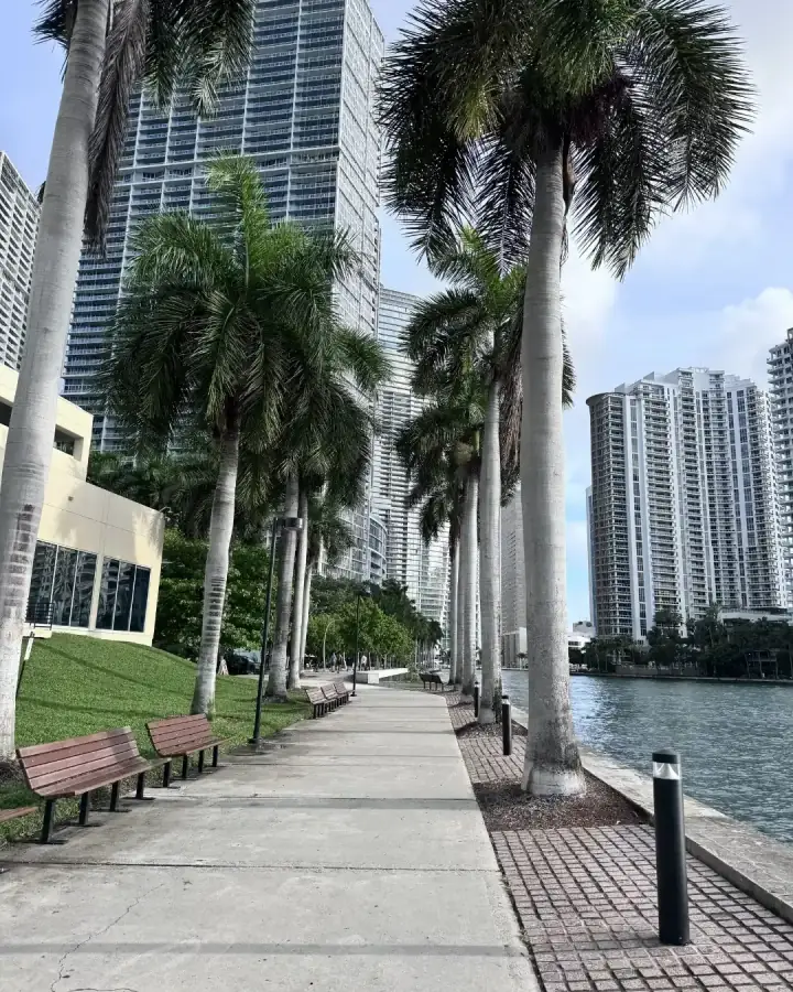 Konnect Miami — photo 8